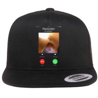 Dank Meme Hamster Staring Front Camera Hamster Calling Gift Flatbill Hat