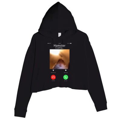 Dank Meme Hamster Staring Front Camera Hamster Calling Gift Crop Fleece Hoodie