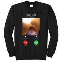 Dank Meme Hamster Staring Front Camera Hamster Calling Gift Tall Sweatshirt