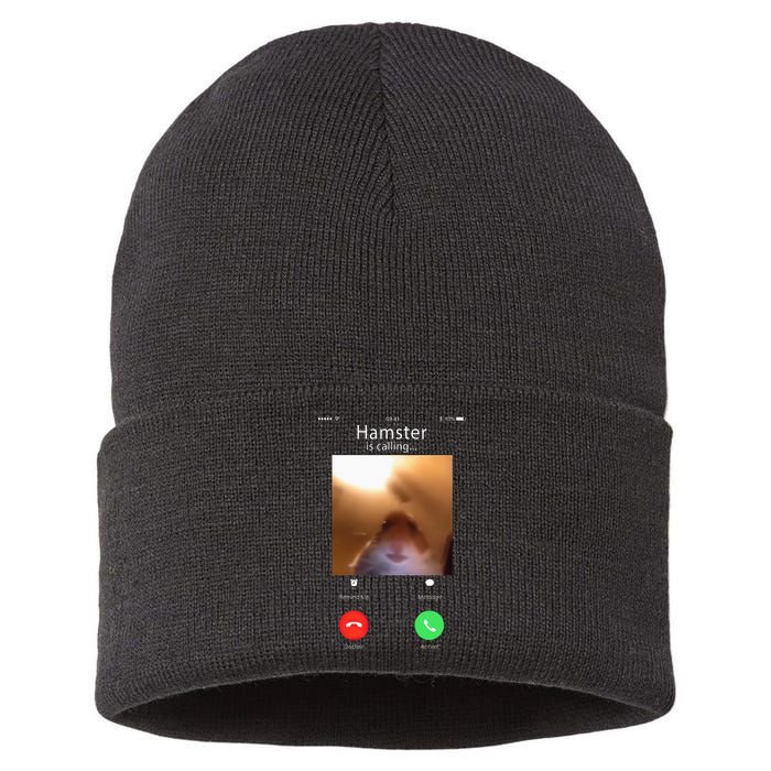 Dank Meme Hamster Staring Front Camera Hamster Calling Gift Sustainable Knit Beanie