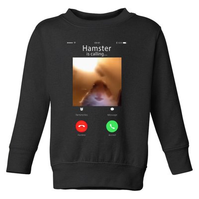 Dank Meme Hamster Staring Front Camera Hamster Calling Gift Toddler Sweatshirt