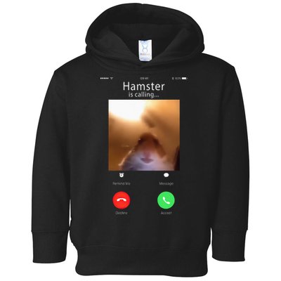 Dank Meme Hamster Staring Front Camera Hamster Calling Gift Toddler Hoodie