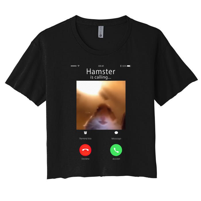 Dank Meme Hamster Staring Front Camera Hamster Calling Gift Crop Top