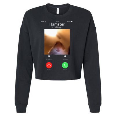 Dank Meme Hamster Staring Front Camera Hamster Calling Gift Cropped Pullover Crew