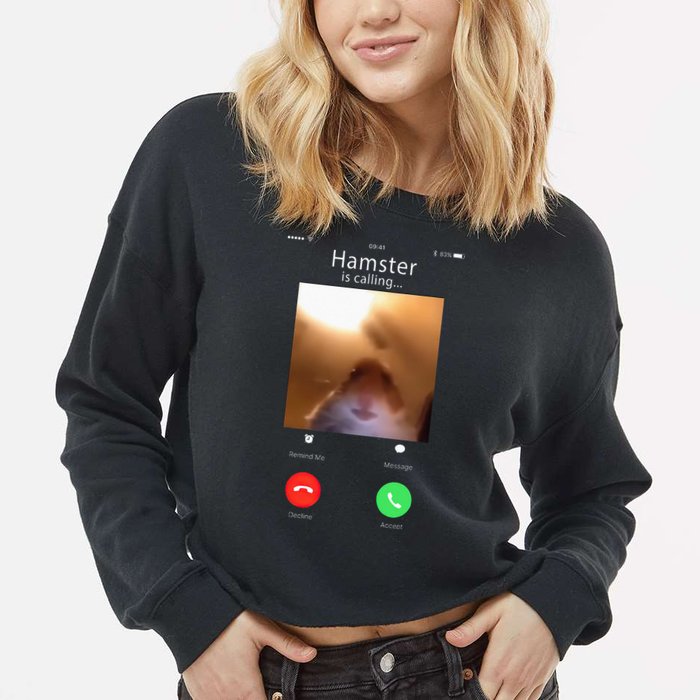 Dank Meme Hamster Staring Front Camera Hamster Calling Gift Cropped Pullover Crew