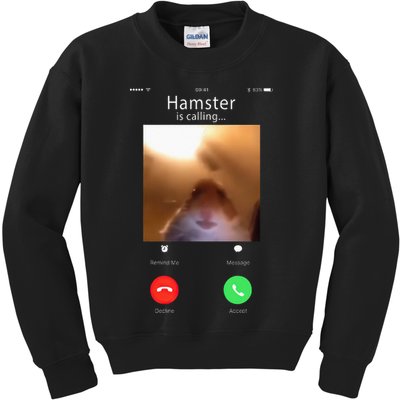 Dank Meme Hamster Staring Front Camera Hamster Calling Gift Kids Sweatshirt