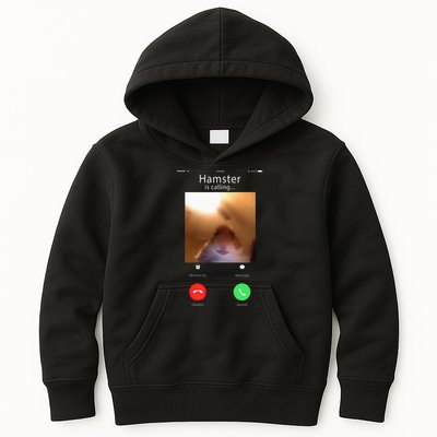 Dank Meme Hamster Staring Front Camera Hamster Calling Gift Kids Hoodie