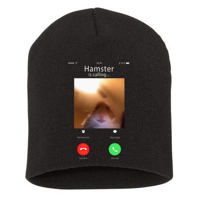 Dank Meme Hamster Staring Front Camera Hamster Calling Gift Short Acrylic Beanie