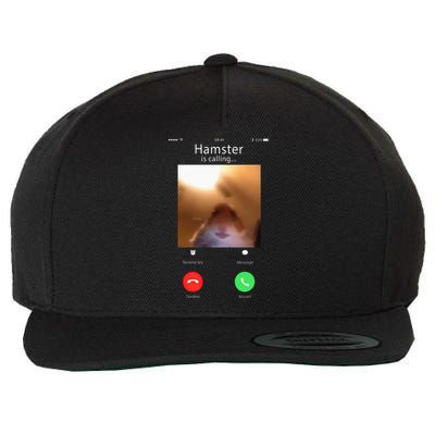 Dank Meme Hamster Staring Front Camera Hamster Calling Gift Wool Snapback Cap