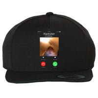 Dank Meme Hamster Staring Front Camera Hamster Calling Gift Wool Snapback Cap