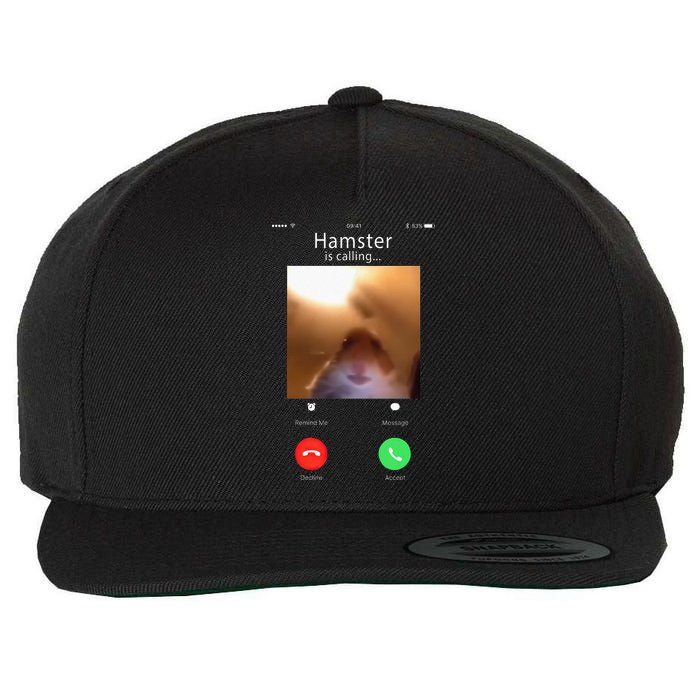 Dank Meme Hamster Staring Front Camera Hamster Calling Gift Wool Snapback Cap