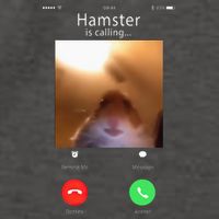 Dank Meme Hamster Staring Front Camera Hamster Calling Gift Vector Backpack