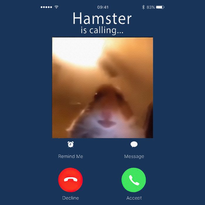 Dank Meme Hamster Staring Front Camera Hamster Calling Gift Infant Baby Jersey Bodysuit