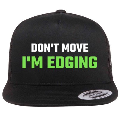 DonT Move IM Edging Sarcastic Saying Flat Bill Trucker Hat