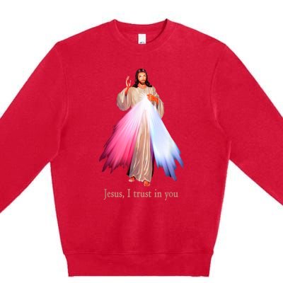 Divine Mercy Jesus I Trust In You Premium Crewneck Sweatshirt