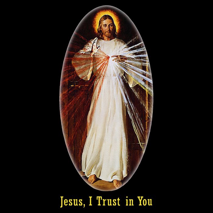 Divine Mercy Jesus I Trust In You (2) Apron