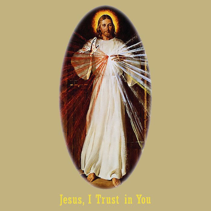 Divine Mercy Jesus I Trust In You (2) Long Sleeve Shirt