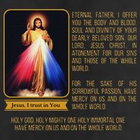 Divine Mercy Jesus Image Chaplet Novena Prayer Catholic 11oz C Handle Ceramic Mug
