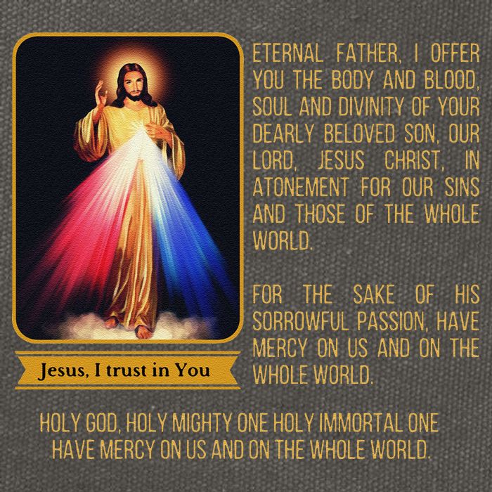 Divine Mercy Jesus Image Chaplet Novena Prayer Catholic Cotton Canvas Backpack