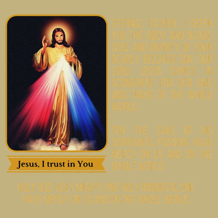 Divine Mercy Jesus Image Chaplet Novena Prayer Catholic Cooling Performance Crew T-Shirt