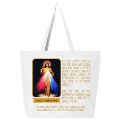 Divine Mercy Jesus Image Chaplet Novena Prayer Catholic 25L Jumbo Tote