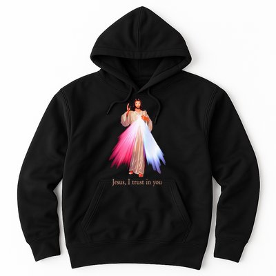 Divine Mercy Jesus I Trust In You Hoodie