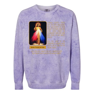 Divine Mercy Jesus Image Chaplet Novena Prayer Catholic Colorblast Crewneck Sweatshirt