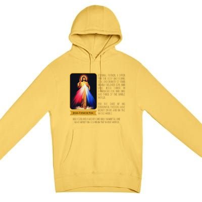 Divine Mercy Jesus Image Chaplet Novena Prayer Catholic Premium Pullover Hoodie