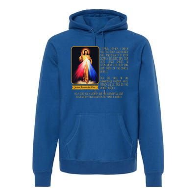 Divine Mercy Jesus Image Chaplet Novena Prayer Catholic Premium Hoodie