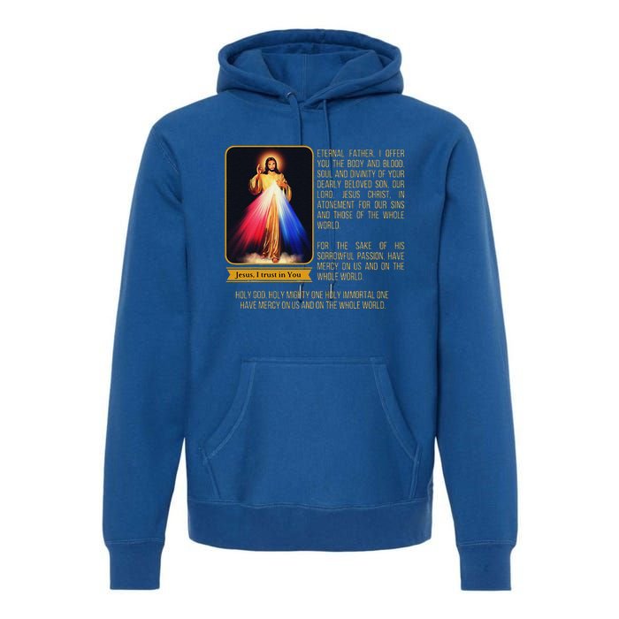 Divine Mercy Jesus Image Chaplet Novena Prayer Catholic Premium Hoodie