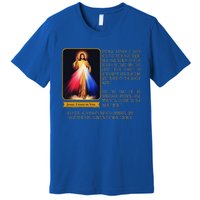 Divine Mercy Jesus Image Chaplet Novena Prayer Catholic Premium T-Shirt