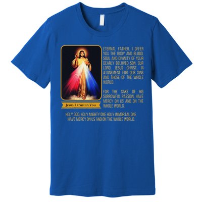 Divine Mercy Jesus Image Chaplet Novena Prayer Catholic Premium T-Shirt