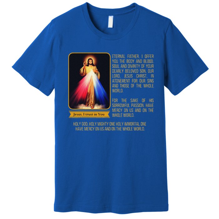 Divine Mercy Jesus Image Chaplet Novena Prayer Catholic Premium T-Shirt