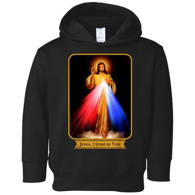 Divine Mercy Jesus I Trust In You Catholic Toddler Hoodie