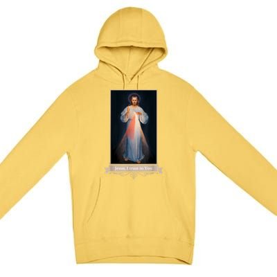 Divine Mercy Jesus I Trust In You Catholic Religious Premium Pullover Hoodie