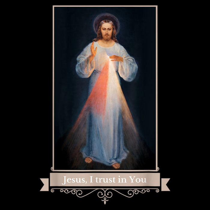 Divine Mercy Jesus I Trust In You Catholic Religious 16 in Basic Backpack
