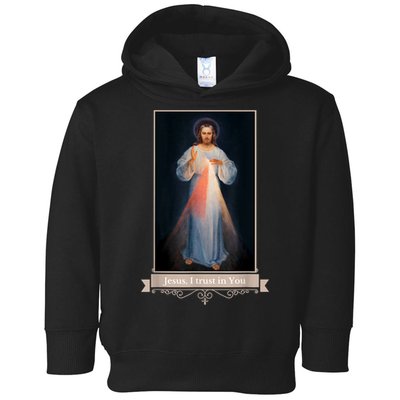 Divine Mercy Jesus I Trust In You Catholic Religious Toddler Hoodie