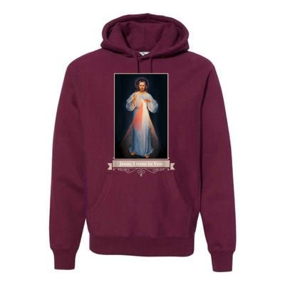 Divine Mercy Jesus I Trust In You Catholic Religious Premium Hoodie