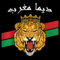 Dima Morocco Lion Flag Sport Soccer Jersey Tee Football Premium T-Shirt