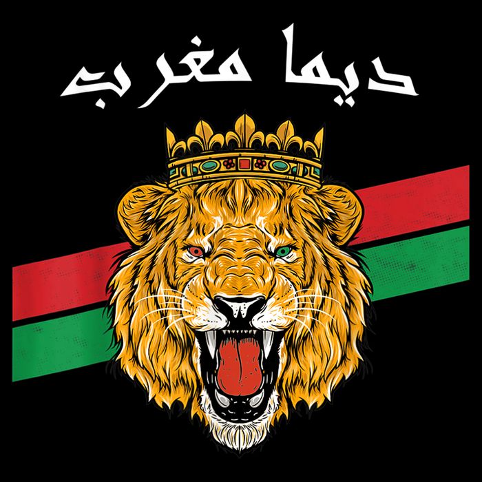 Dima Morocco Lion Flag Sport Soccer Jersey Tee Football Premium T-Shirt