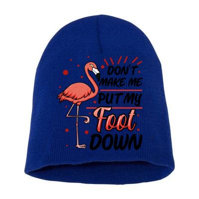 Don't Make Me Put My Foot Down Funny Flamingo Gift Short Acrylic Beanie