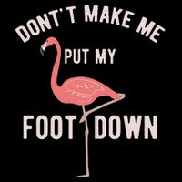 DonT Make Me Put My Foot Down Funny Flamingo 16 in Basic Backpack