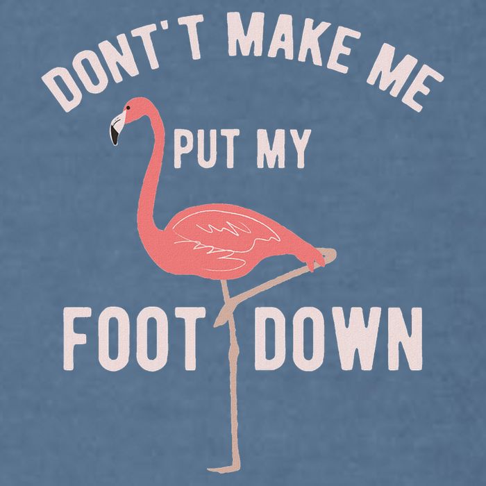 DonT Make Me Put My Foot Down Funny Flamingo Garment-Dyed Sweatshirt