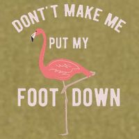 DonT Make Me Put My Foot Down Funny Flamingo Garment-Dyed Women's Muscle Tee