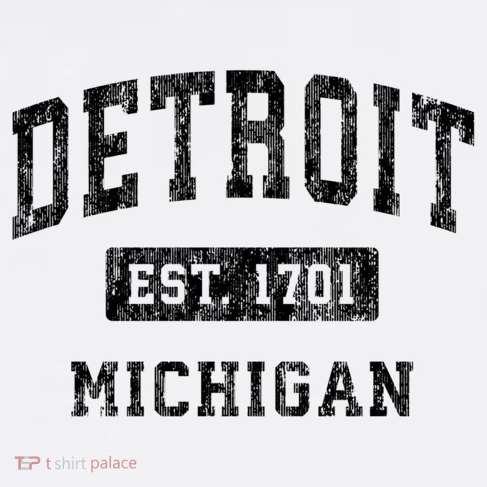 Detroit Michigan Mi Vintage Established Sports Design Tall T-Shirt