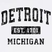 Detroit Michigan Mi Vintage Established Sports Design Mug