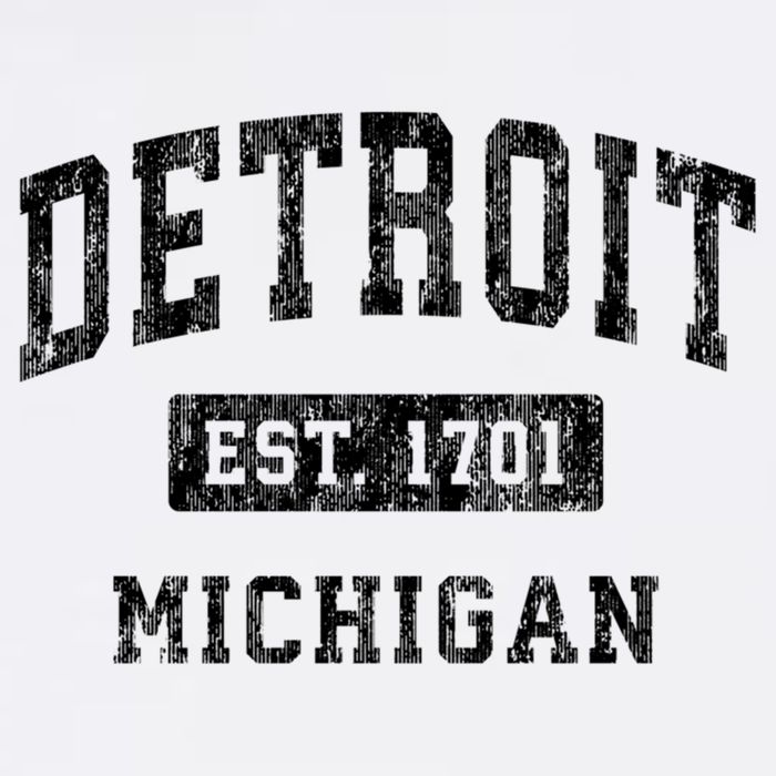 Detroit Michigan Mi Vintage Established Sports Design Mug