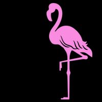 Don't Make Me Put My Foot Down Flamingo Mug