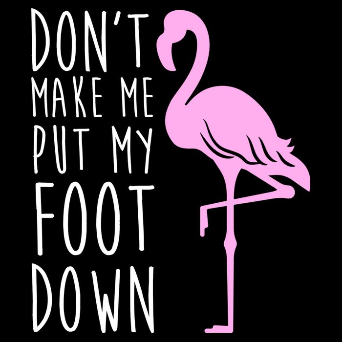 Don't Make Me Put My Foot Down Flamingo 16 in Basic Backpack