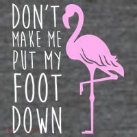 Don't Make Me Put My Foot Down Flamingo Mesh Reversible Basketball Jersey Tank